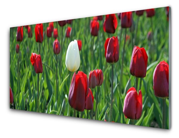 Panou sticla bucatarie Lalele Floral Roșu Alb Verde