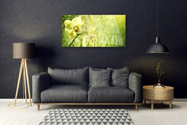 Tablou pe sticla Iarbă Flori Floral Verde