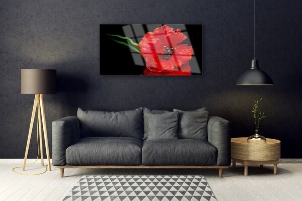 Tablou pe sticla Florale flori Roșu