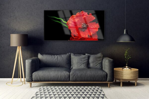 Tablou pe sticla Florale flori Roșu