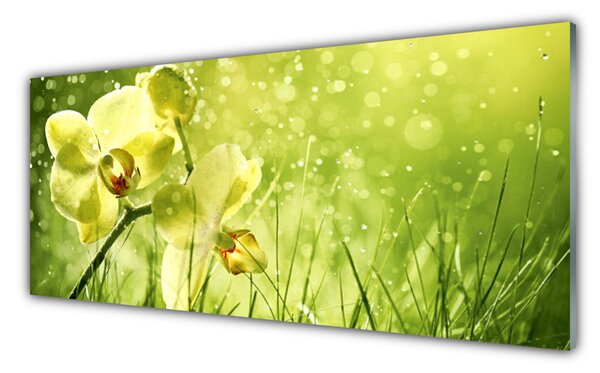 Tablou pe sticla Iarbă Flori Floral Verde