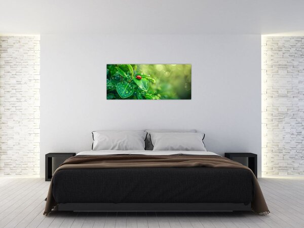 Tablou - Buburuza (120x50 cm)