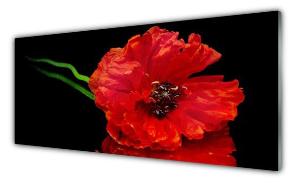 Tablou pe sticla Florale flori Roșu