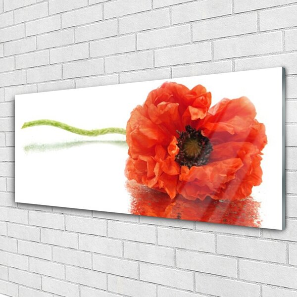 Tablou pe sticla Florale flori Roșu