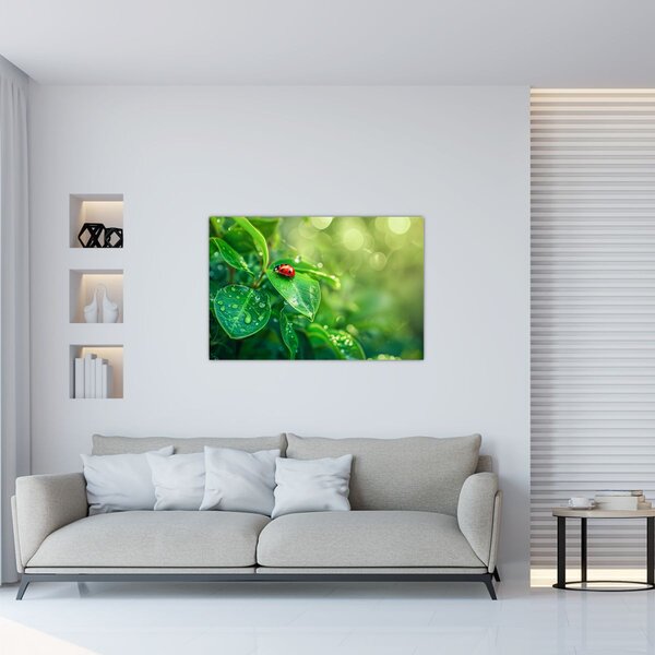 Tablou - Buburuza (90x60 cm)