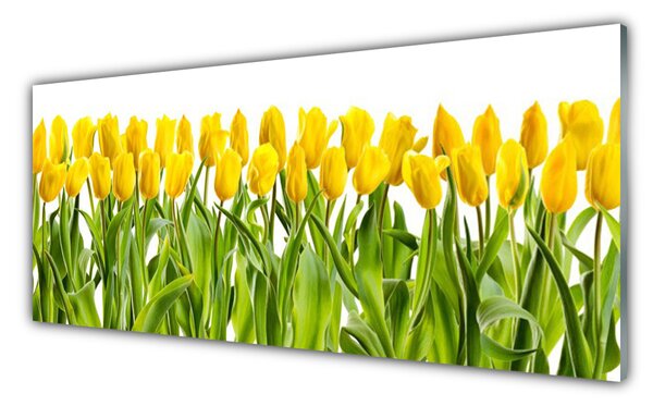 Tablou pe sticla Lalele Floral Galben Verde