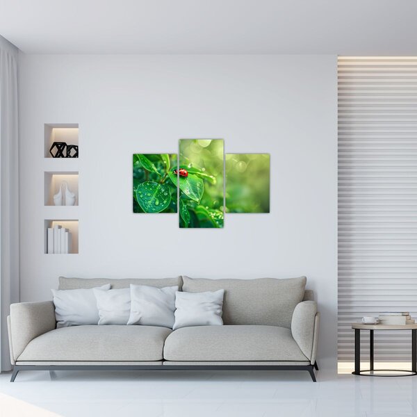 Tablou - Buburuza (90x60 cm)