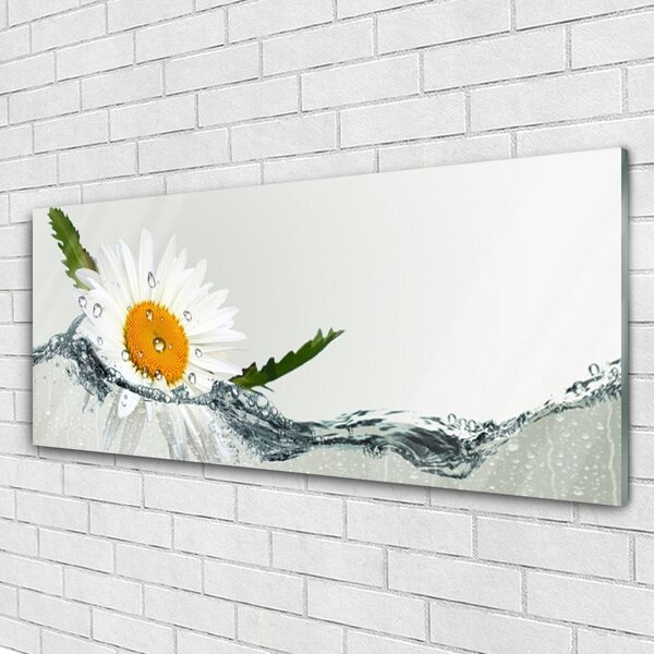 Tablou pe sticla Daisy Art Apă Galben Alb Albastru