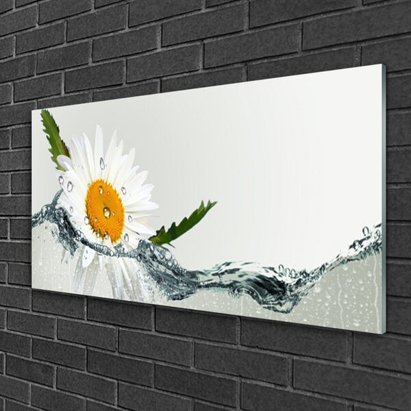 Tablou pe sticla Daisy Art Apă Galben Alb Albastru