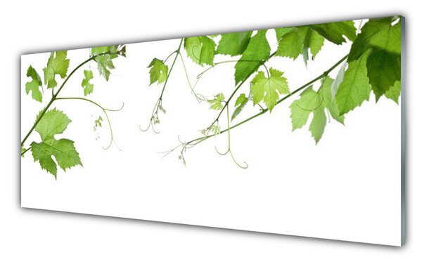 Tablou pe sticla Sucursale Frunze Floral verde maro