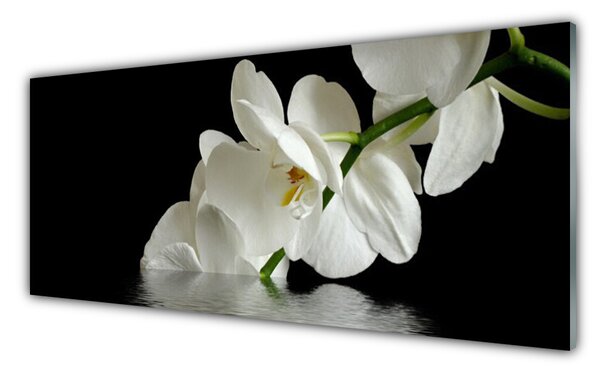 Tablou pe sticla Flori Floral alb