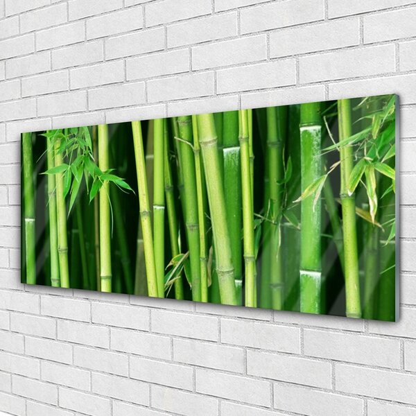Tablou pe sticla Bamboo Tulpini Floral Verde