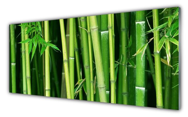 Tablou pe sticla Bamboo Tulpini Floral Verde