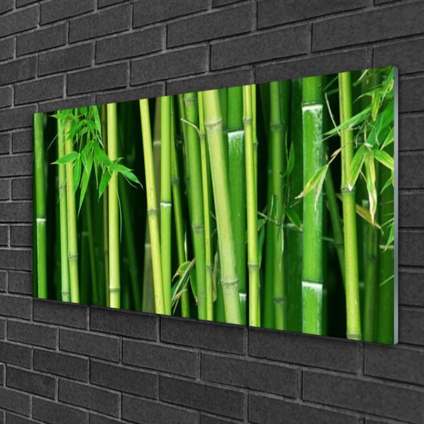 Tablou pe sticla Bamboo Tulpini Floral Verde