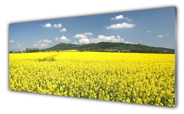 Panou sticla bucatarie Meadow Natura Galben