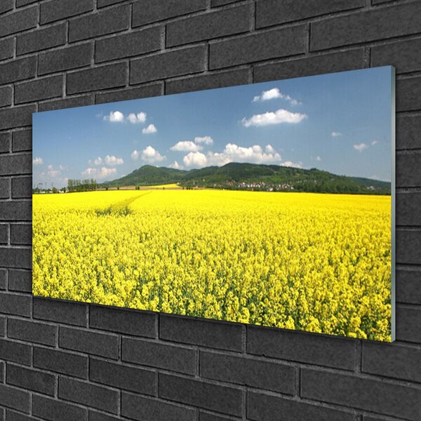 Tablou pe sticla Meadow Natura Galben