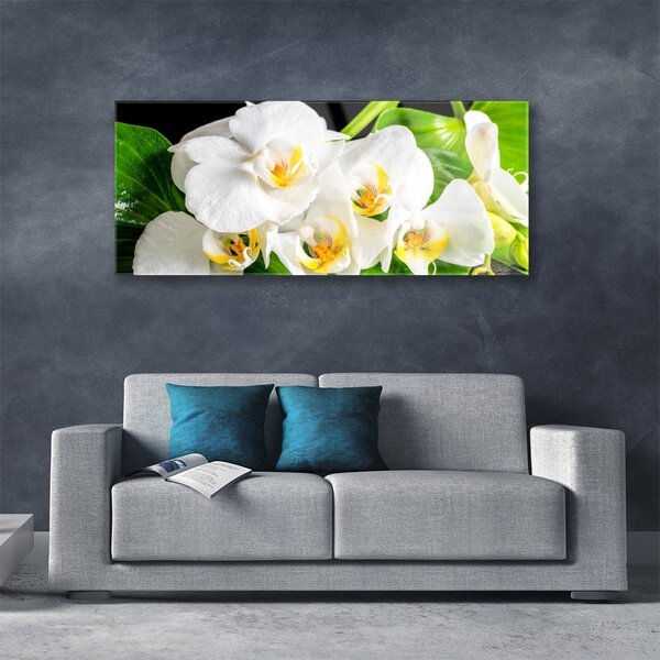 Tablou pe sticla Petale Floral Alb Verde