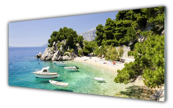 Tablou pe sticla Marea barca Rocks Beach Peisaj Albastru Alb Verde Gri
