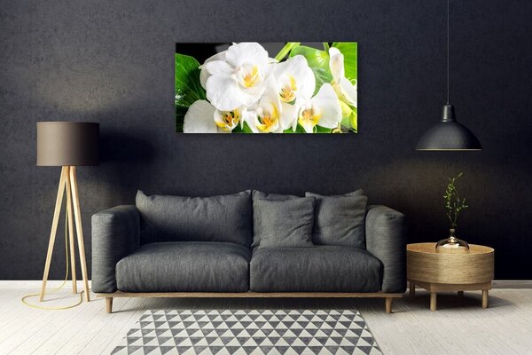 Tablou pe sticla Petale Floral Alb Verde