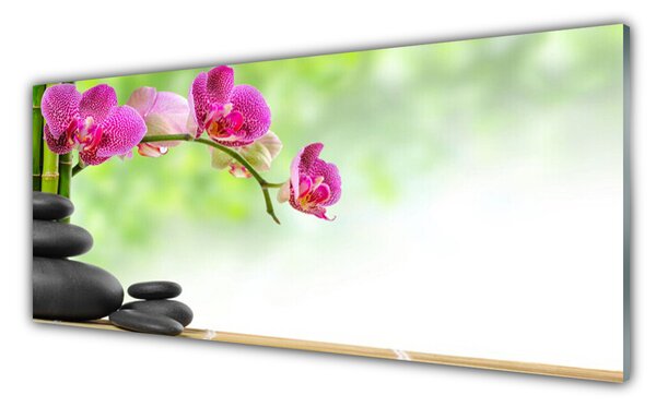 Tablou pe sticla Bamboo Tube flori Stones Arta Verde Rosu Negru