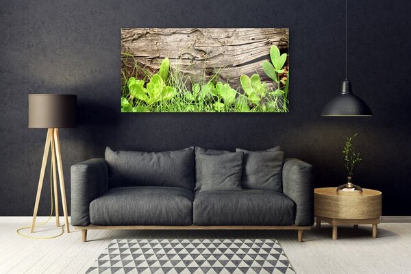 Tablou pe sticla Iarbă Frunze verde florale