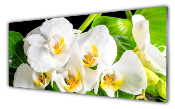 Panou sticla bucatarie Petale Floral Alb Verde