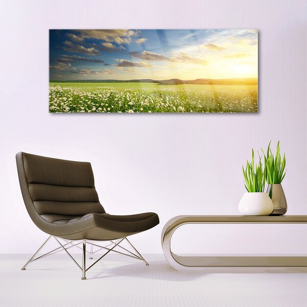 Tablou pe sticla Meadow Flori Peisaj Verde Alb