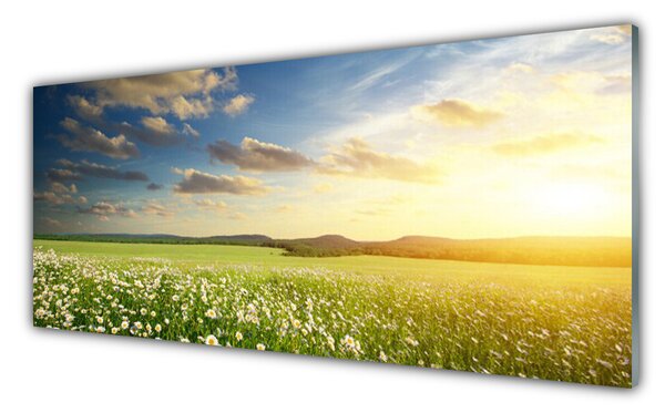 Tablou pe sticla Meadow Flori Peisaj Verde Alb