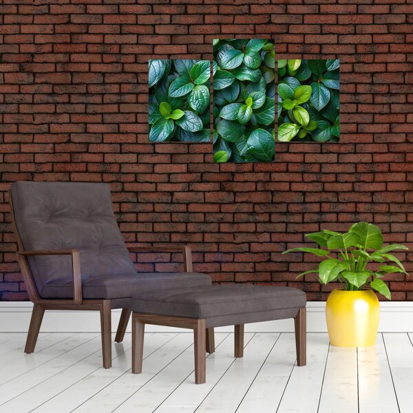 Tablou - Plante verzi (90x60 cm)