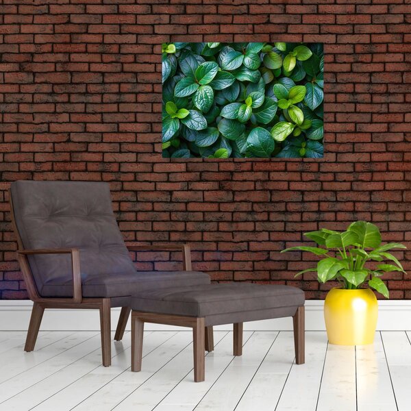 Tablou - Plante verzi (70x50 cm)