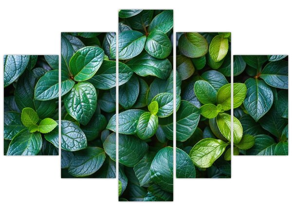 Tablou - Plante verzi (150x105 cm)