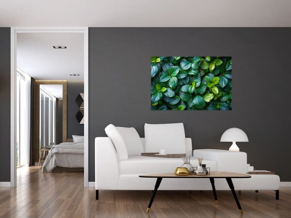 Tablou - Plante verzi (90x60 cm)