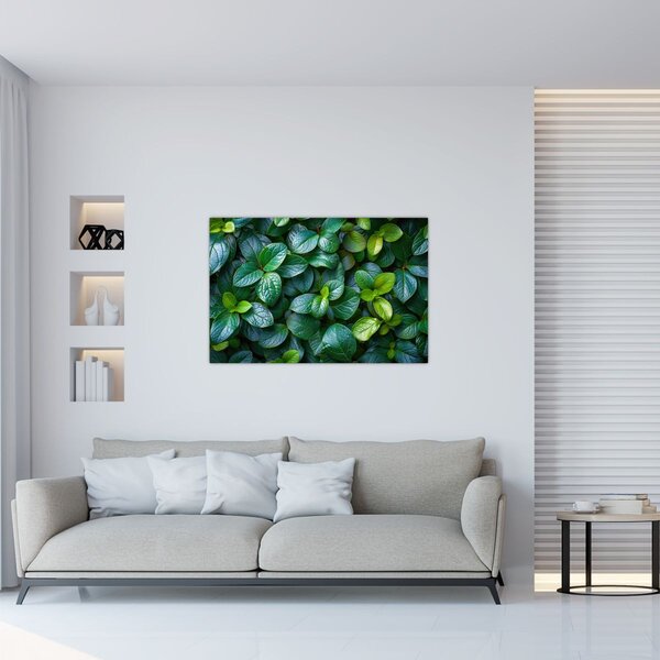 Tablou - Plante verzi (90x60 cm)