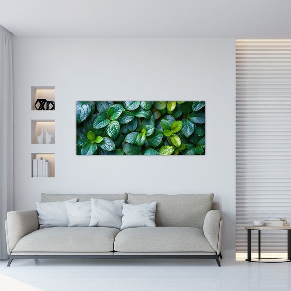 Tablou - Plante verzi (120x50 cm)