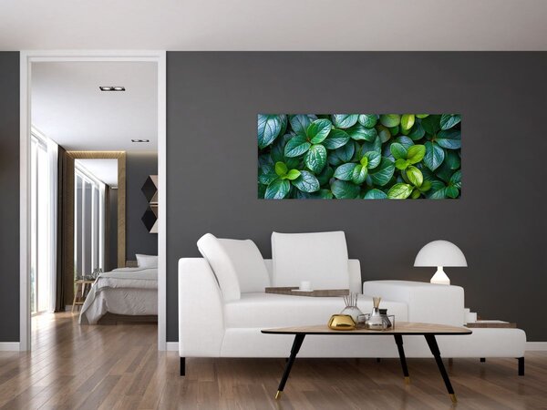 Tablou - Plante verzi (120x50 cm)