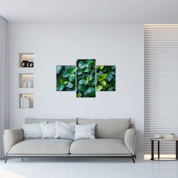 Tablou - Plante verzi (90x60 cm)