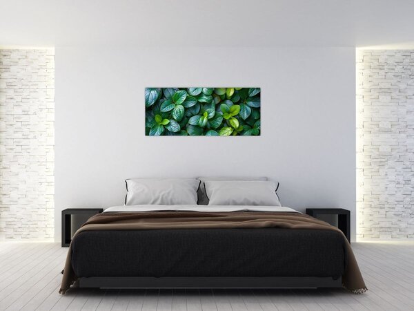 Tablou - Plante verzi (120x50 cm)
