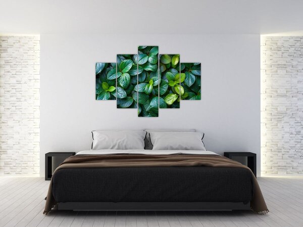Tablou - Plante verzi (150x105 cm)