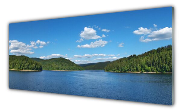 Panou sticla bucatarie Lake Forest Peisaj verde albastru