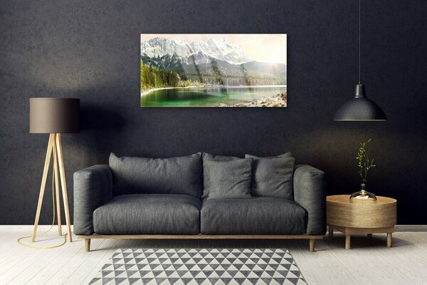 Tablou pe sticla Mountain Lake Forest Peisaj Alb Gri Verde