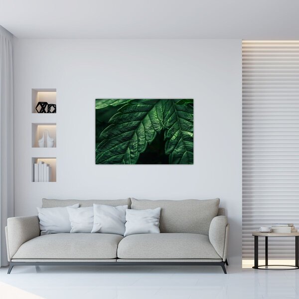 Tablou - Detaliu al foii (90x60 cm)