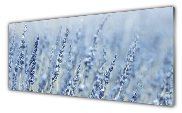 Tablou pe sticla Flori Floral violet