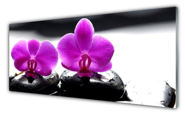 Tablou pe sticla Pietrele florale flori roz negru
