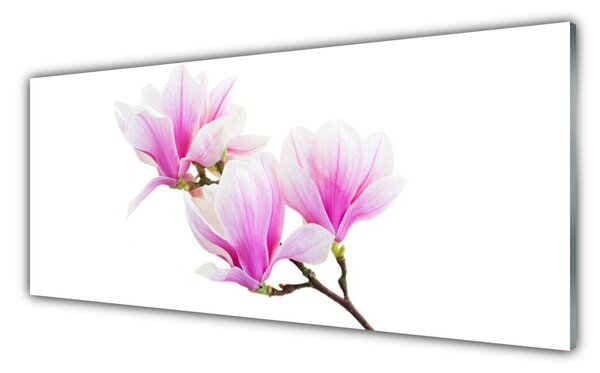 Tablou pe sticla Flori roz Floral