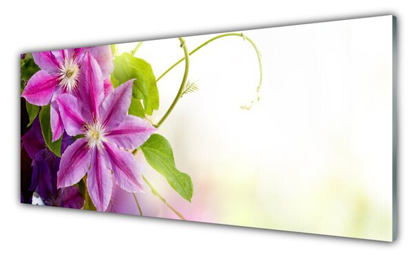 Tablou pe sticla Flori roz Floral