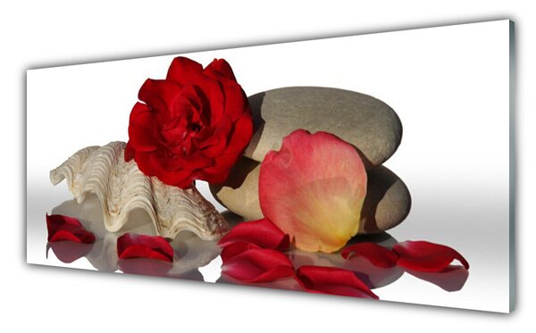 Tablou pe sticla Rose Conch pietre Art Roșu Alb Gri