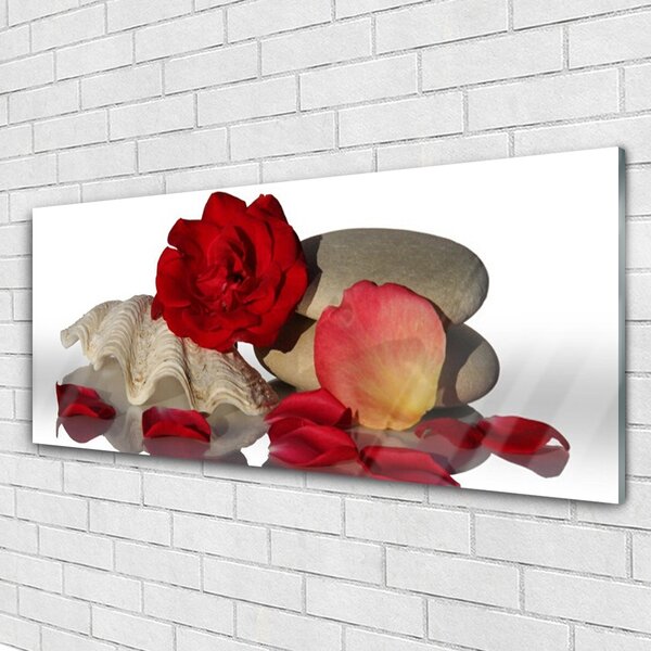 Tablou pe sticla Rose Conch pietre Art Roșu Alb Gri