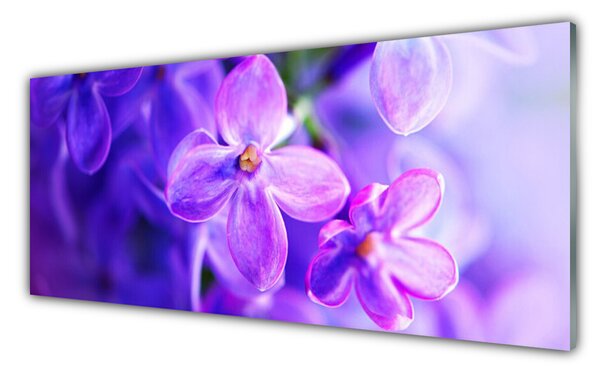 Tablou pe sticla Flori roz Floral