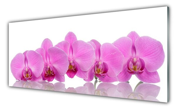 Tablou pe sticla Flori roz Floral
