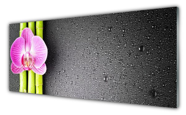 Tablou pe sticla Bamboo Tube floare verde florale roz